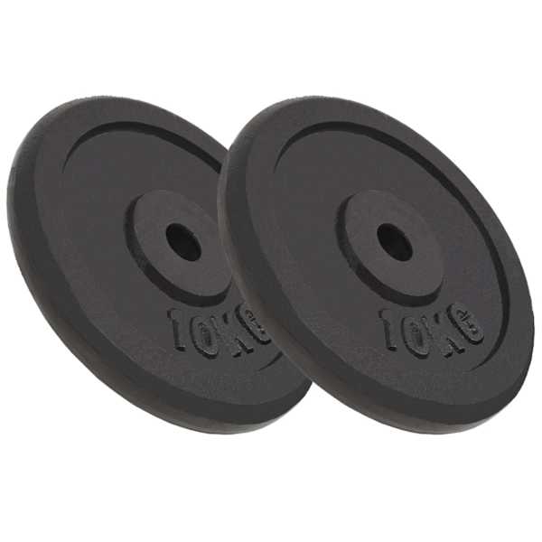 vidaXL kangi kettad, 2 tk, 2x10 kg, malm