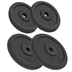 vidaXL kangi kettad, 4 tk, 2 x 10 kg + 2 x 5 kg, malm