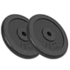 vidaXL kangi kettad, 2 tk, 2x15 kg, malm