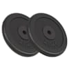 vidaXL kangi kettad, 2 tk, 2x20 kg, malm