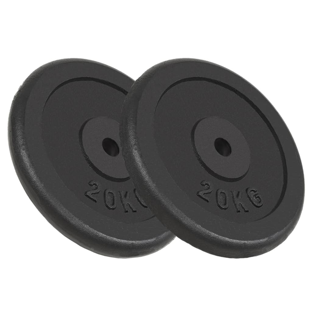 vidaXL svaru diski, 2 gab., 2x20 kg, čuguns