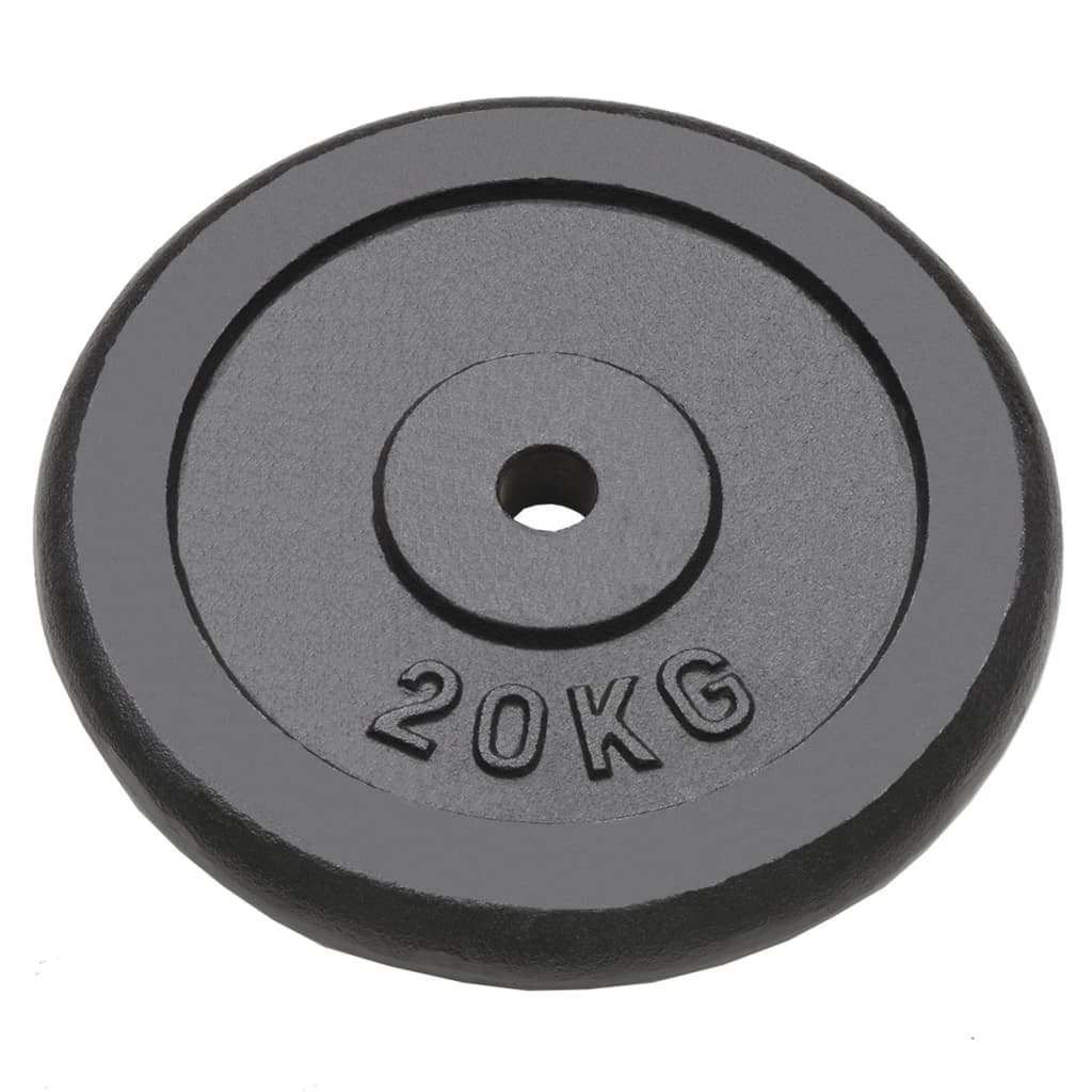 

vidaXL Halterschijven 2 st 2x20 kg gietijzer