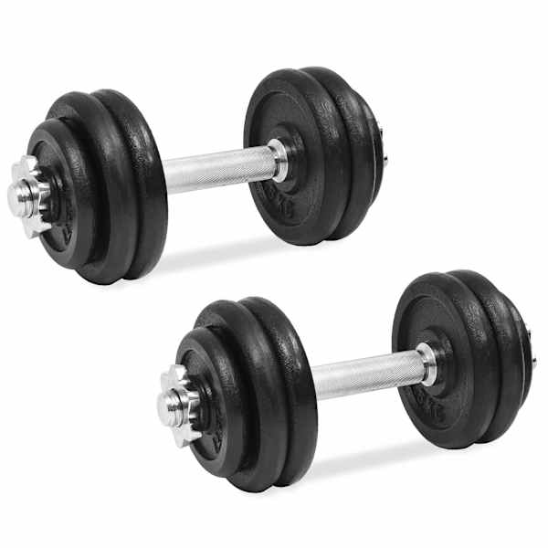 vidaXL 18-osaline hantlite komplekt 30 kg, malm