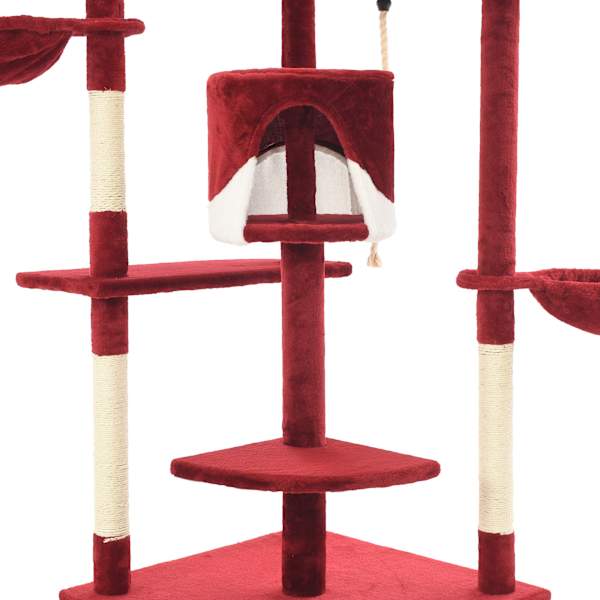 Toote pisipilt  5 / 6