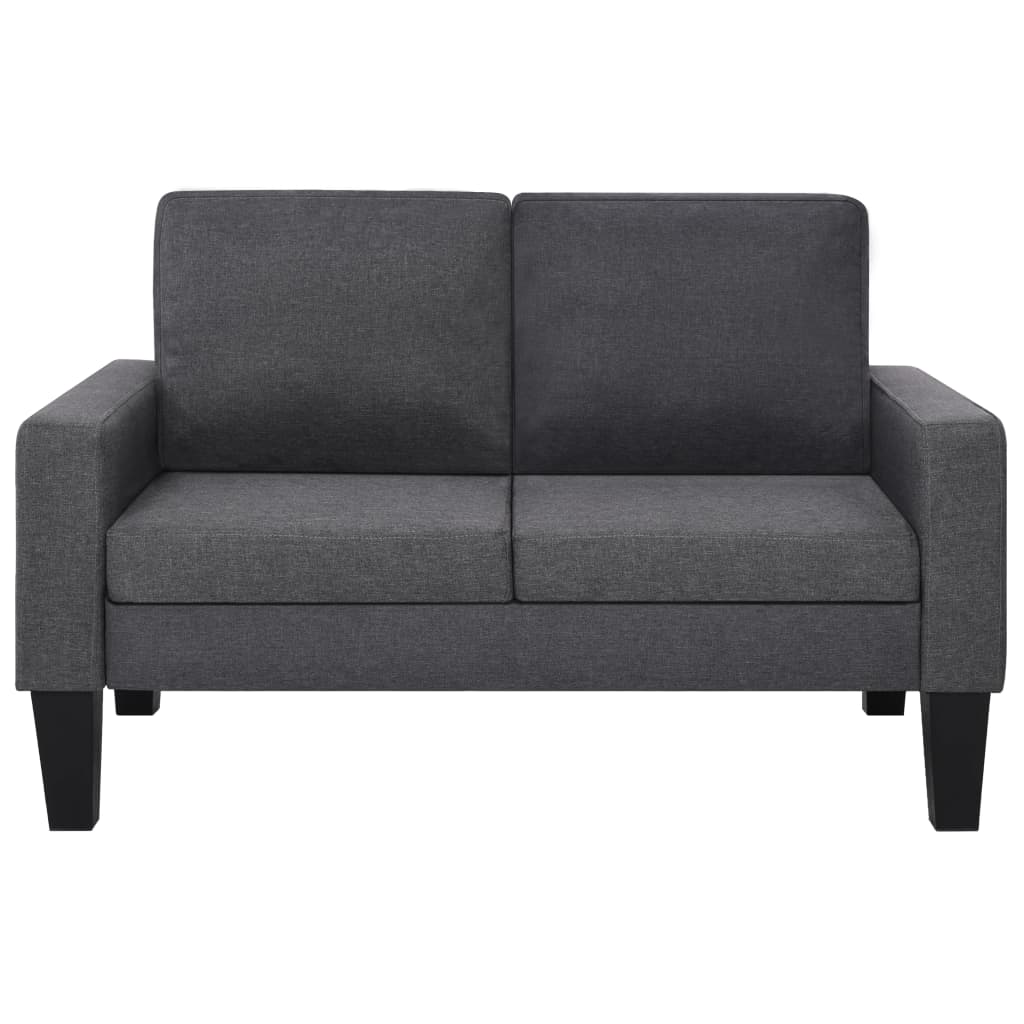 vidaXL Dvivietė sofa, audinys, tamsiai pilkos spalvos