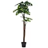 vidaXL kunsttaim monstera potiga 170 cm, roheline