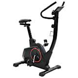 vidaXL Hometrainer 10 kg roterende massa
