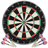 vidaXL Dartbord professioneel met 6 darts sisal