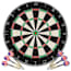  vidaXL szizálból készült professzionális darts tábla 6 nyíllal termék 2. képe