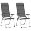 vidaXL matkatoolid 2 tk, hall, 58 x 69 x 111 cm, alumiinium