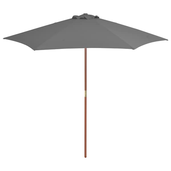 vidaXL p&auml;ikesevari puidust postiga 270 cm, antratsiithall