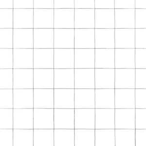 Pletivo ke kurníku pozinkovaná ocel 25 x 1,5 m stříbrné - obrázek 4