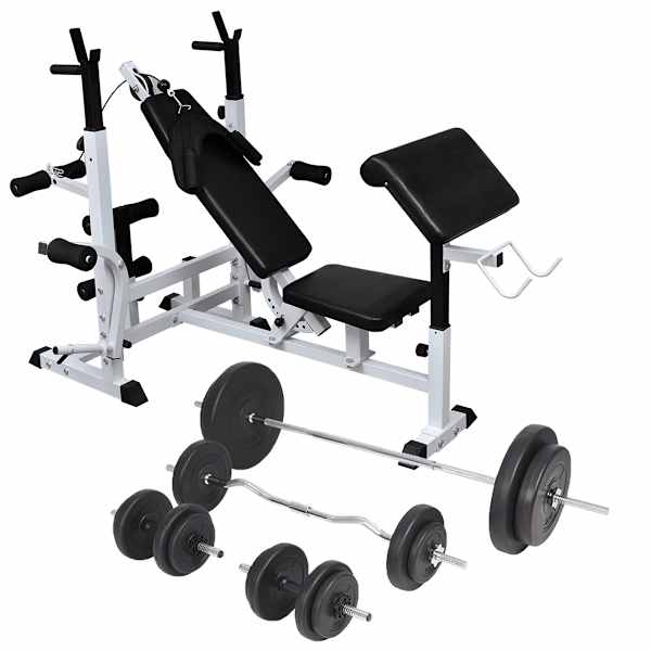 vidaXL t&otilde;stepink t&otilde;steraskuse hoidikute, kangide ja hantlitega 90 kg