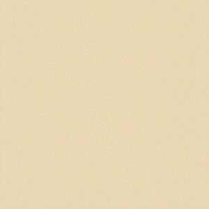 Náhradní plachta na markýzu krémová 350 x 250 cm polyesterová - obrázek 6