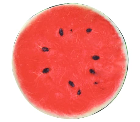 vidaXL Kissen 2 Stk. Fruchtoptik Wassermelone