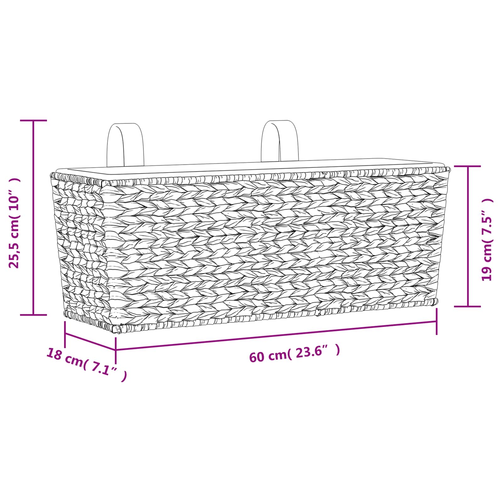 Planters Water Hyacinth size guide