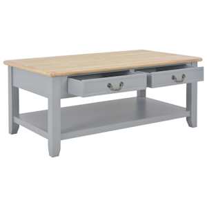 vidaXL Orta Sehpa Gri 100x55x40 cm Ahşap