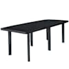 vidaXL aialaud antratsiit, 216 x 90 x 72 cm plastist