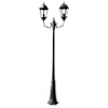 vidaXL aialamp, post, 2 haru, 230 cm, tumeroheline/must, alumiinium
