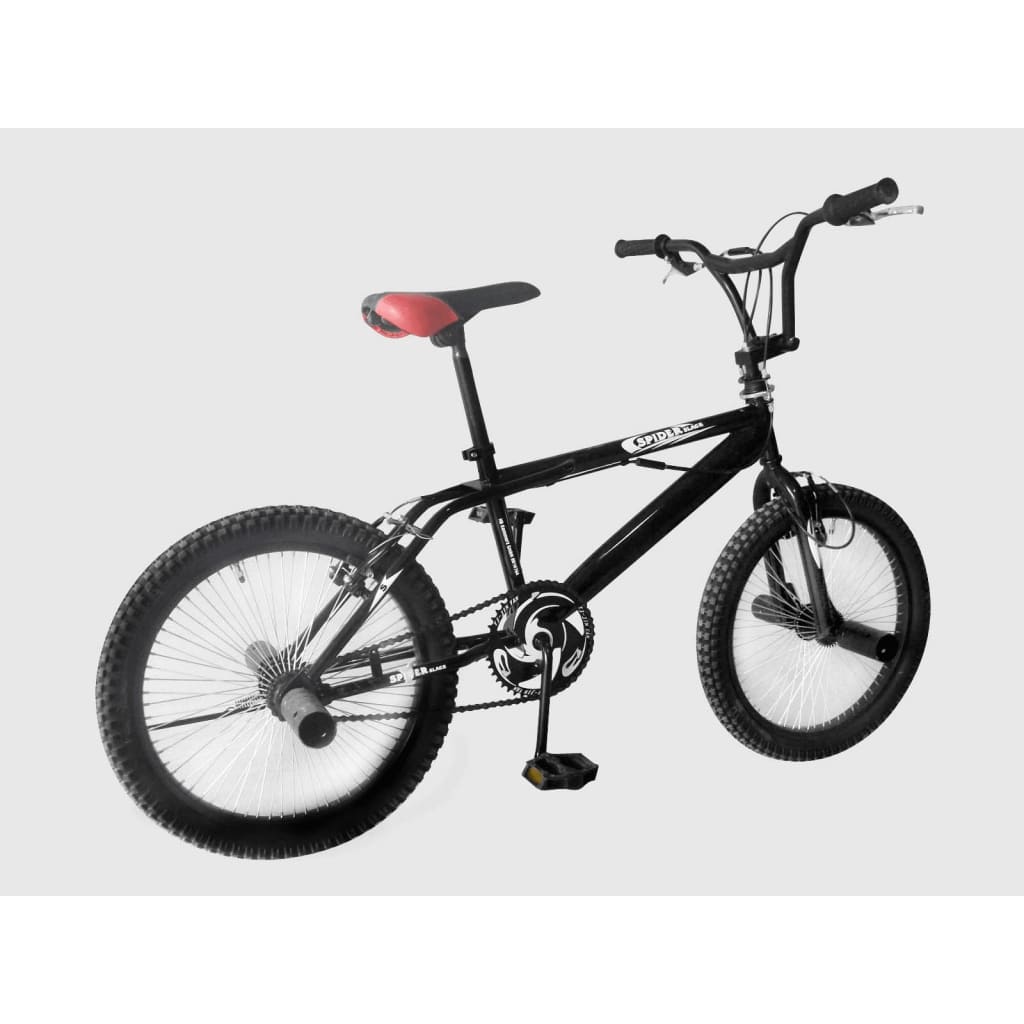 

vidaXL BMX Crossfiets 20" zwart