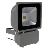 1 x Floodlight 80W.