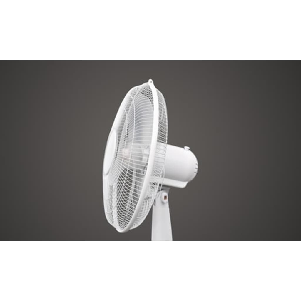 

vidaXL Ventilator FN-50069 staand ø43 cm (set van 2)