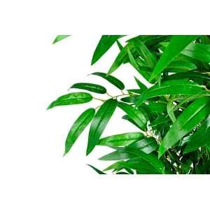 vidaXL Set of 2 Bamboo Artificial Home Decor 74.8"