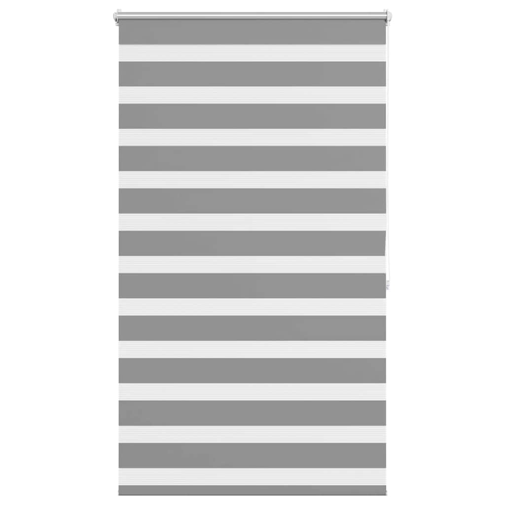 vidaXL Roleta den a noc / Zebra / Twinroll 100x175 cm šedá