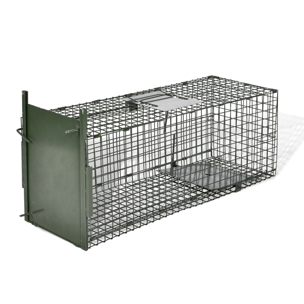 Cage de capture d'animaux vivants 1 entrée L - 60 x 23 x 25 cm - Webshop -  Matelma