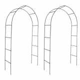 vidaXL Arco da Giardino 2 pz per Piante Rampicanti