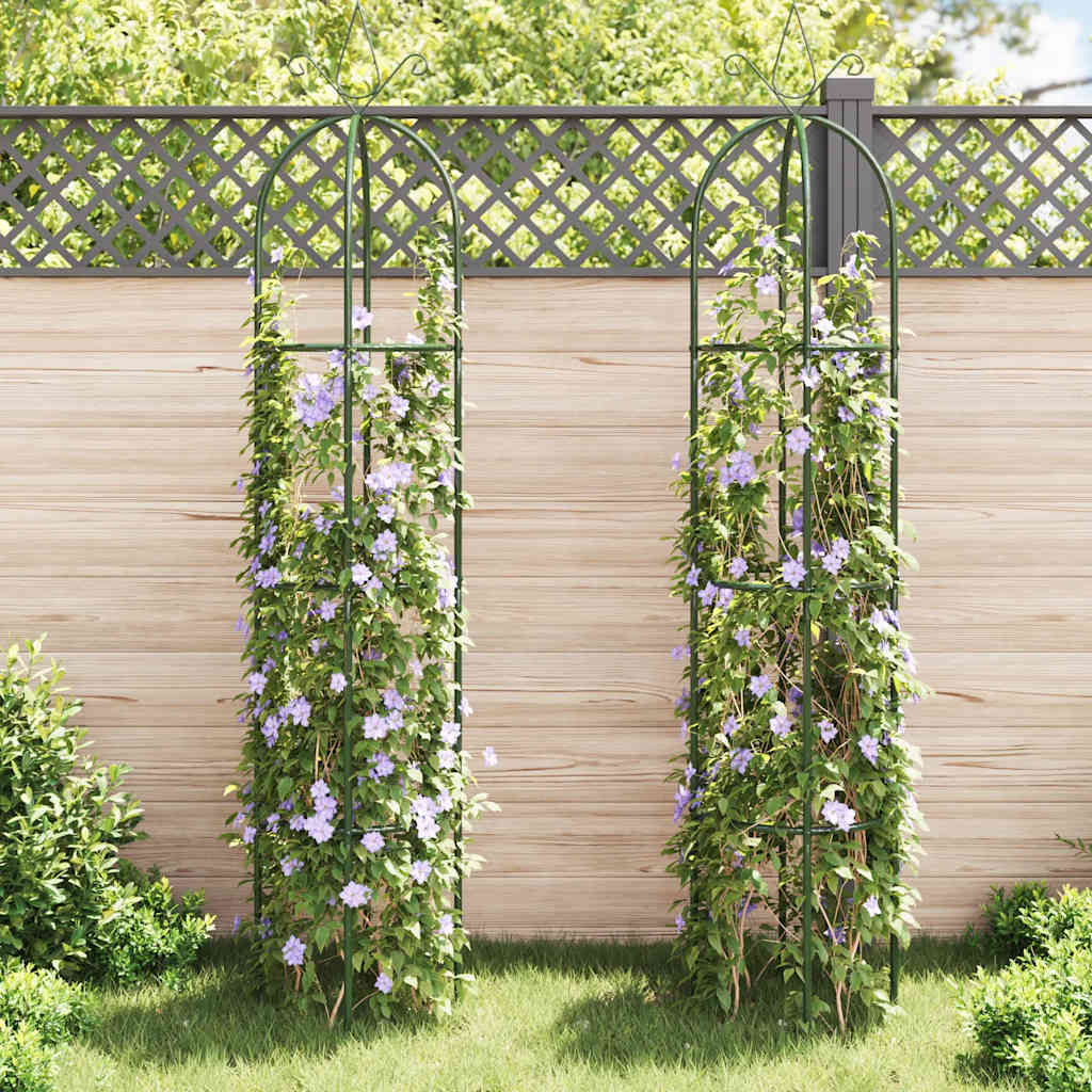 vidaXL Pergola na popínavé rastliny, 2 ks