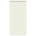 Estore de rolo 40 x 100 cm, Branco escuro