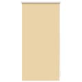 Estore de rolo 40 x 100 cm, Bege