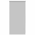Estore de rolo 40 x 100 cm, Cinza