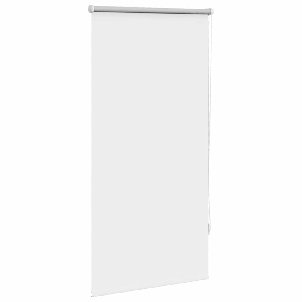 vidaXL Zatemňujúca roleta, 60 x 120 cm, biela