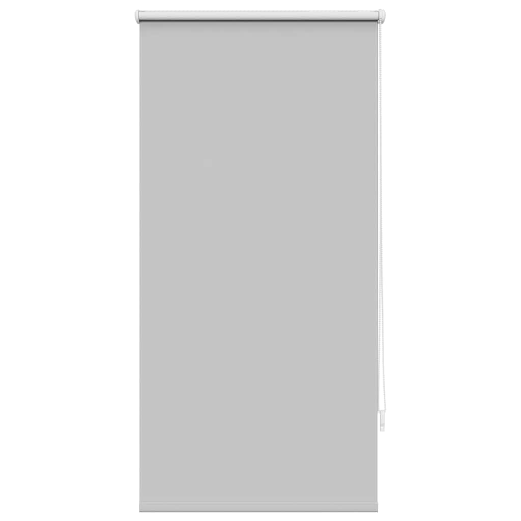 vidaXL Zatemňovací roleta 60 x 120 cm šedá