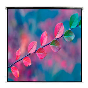 Manual Projection Screen 200x153 cm Matt White 4:3 Wall Ceiling Mount