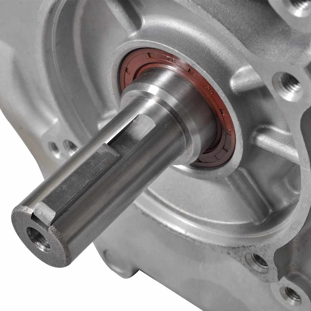 Moteur à Essence 15 CV 11 KW Noir VidaXL 15 width=274