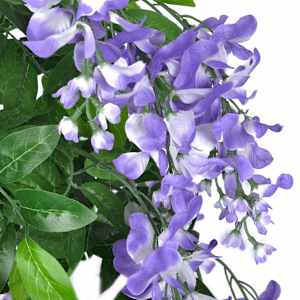 Dirbtinė Visterija su Vazonu 160 cm