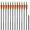 Standardse blokkvibu nooled 30 tolli 0,8 cm klaaskiust 12 tk
