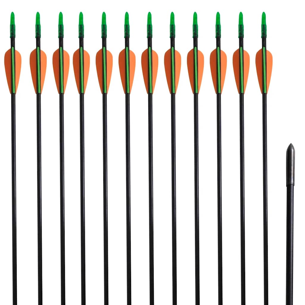 vidaXL Standardní šípy k recurve luku 30