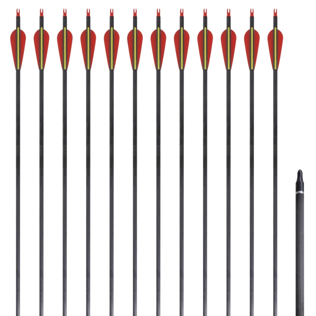 Šípy pro standardní recurve luk, 30", 0,76 cm, karbonové, 12 ks