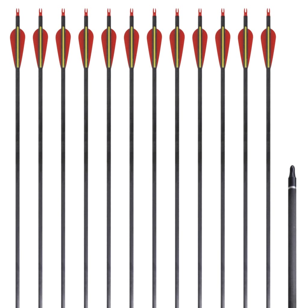 Săgeți standard arc recurv 30