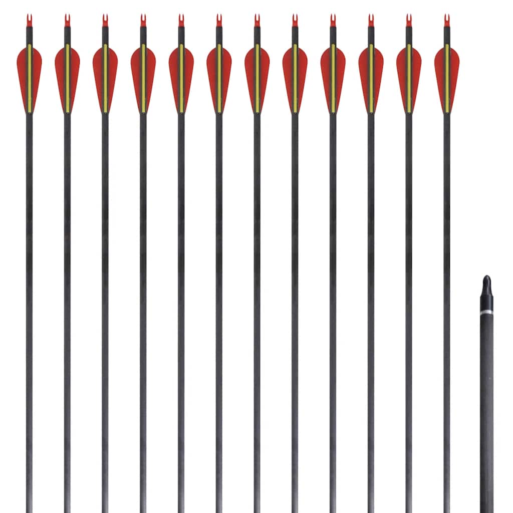 vidaXL Standardní šípy k recurve luku 30