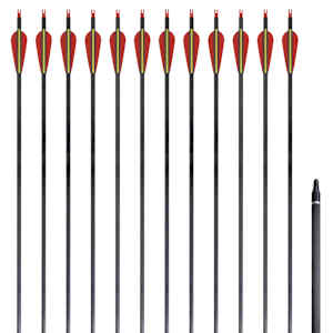 Puščice iz steklenih vlaken za standardni ukrivljeni lok 30"0,76 cm 12