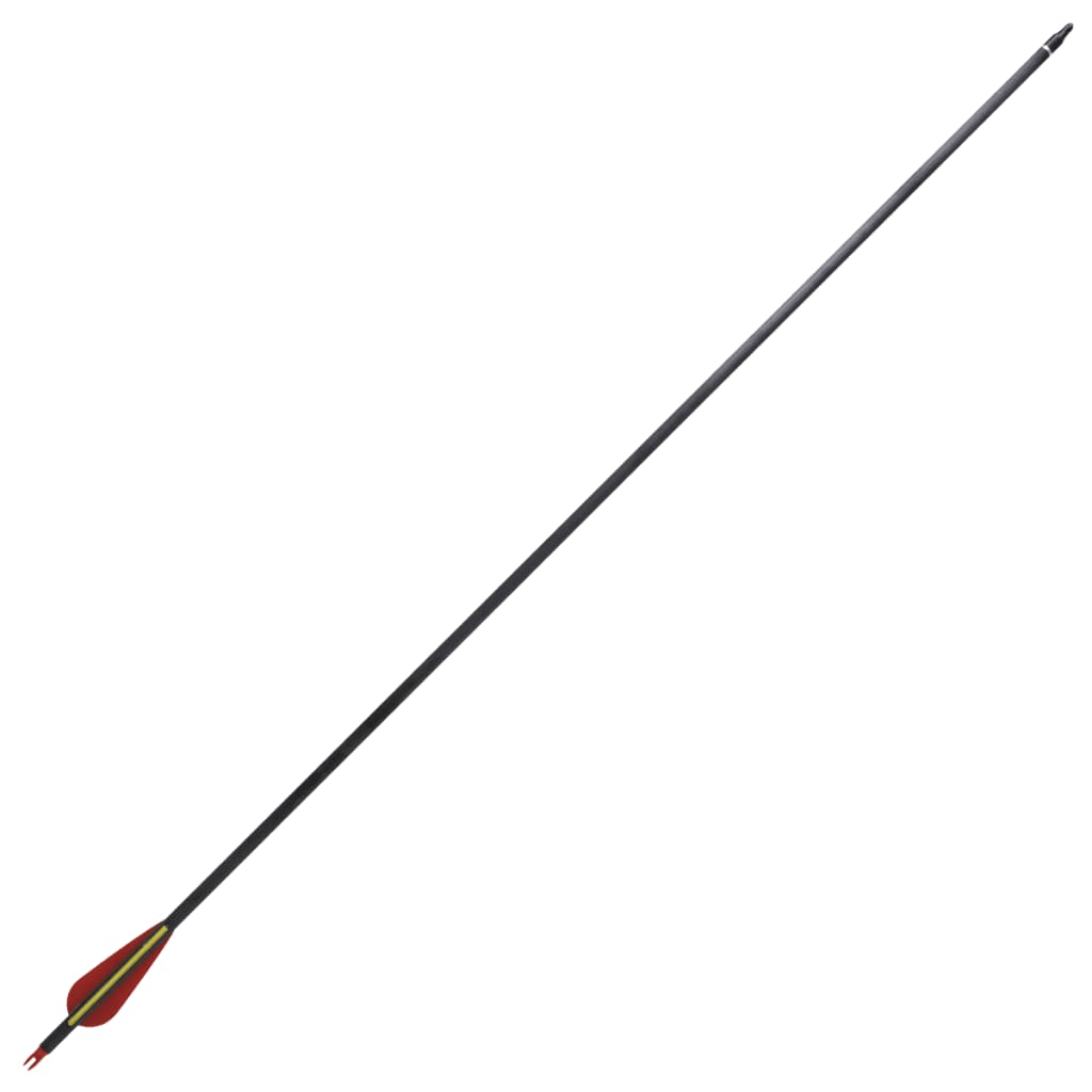 Šípy pro standardní recurve luk, 30", 0,76 cm, karbonové, 12 ks