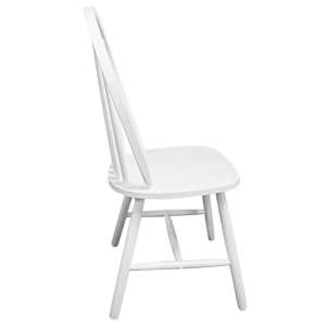 Jedilni stoli 2 kosa beli trdni kavčukovec - slika 5