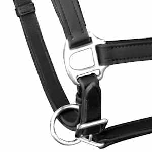 Licol Licou en cuir r&eacute;glable pour &eacute;curie Cheval Noir