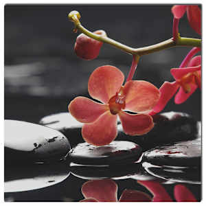 N&aacute;stenn&yacute; vykurovac&iacute; infrapanel 400 W 60 x 60 cm, dizajn Orient