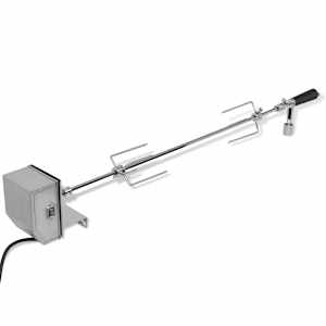 vidaXLi professionaalse mootoriga grillvarras, teras 900 mm